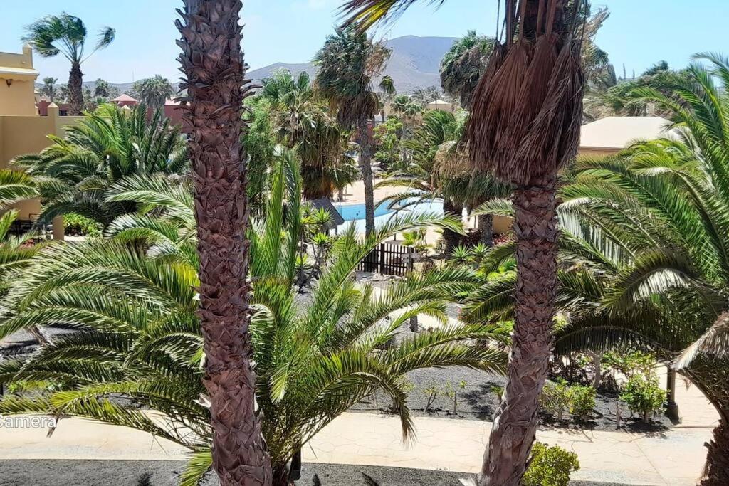 Apartment Cumbre Vieja Fuerteventura Corralejo Exterior photo