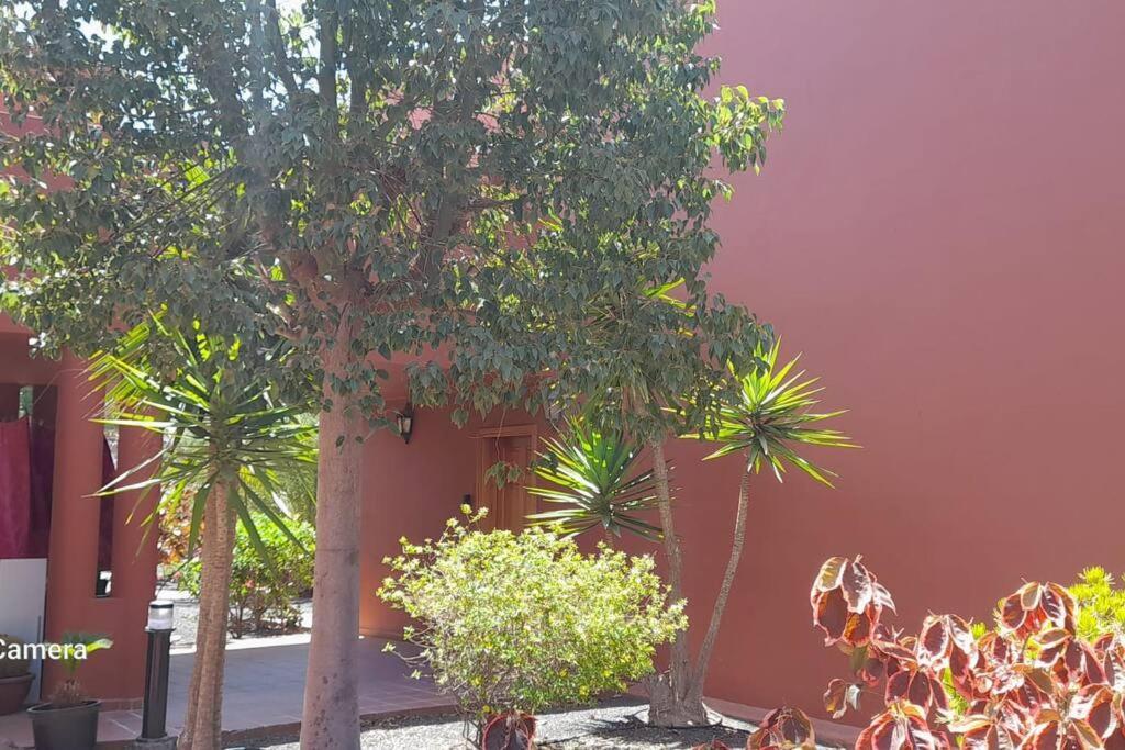 Apartment Cumbre Vieja Fuerteventura Corralejo Exterior photo